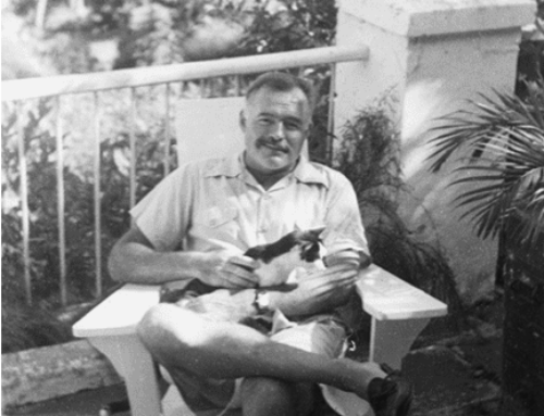 Hemingway House: The History Of Hemingway’s Six-Toed Cats