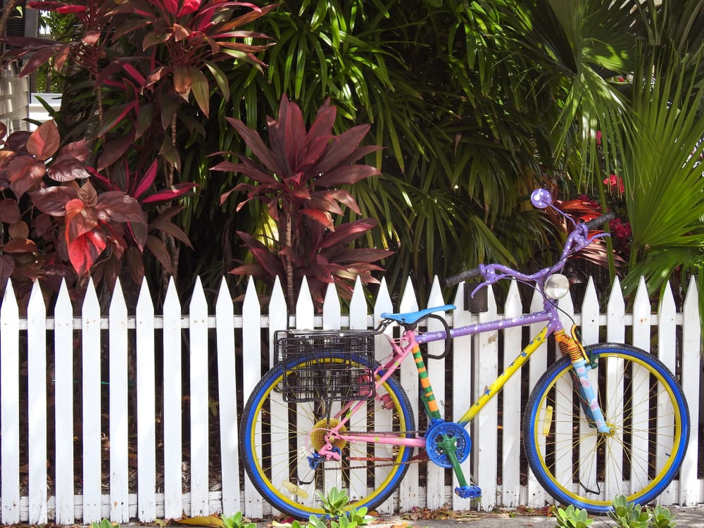 A Photo of Bikes in Key West