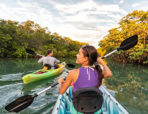 Explore the Waters with a Key West Kayak Rental