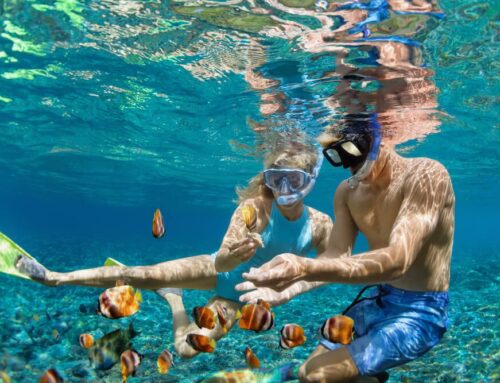 The Ultimate Guide to Snorkeling in Key West
