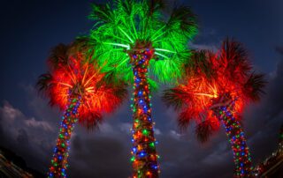 Trees decorated as part of the holiday events in Key West.
